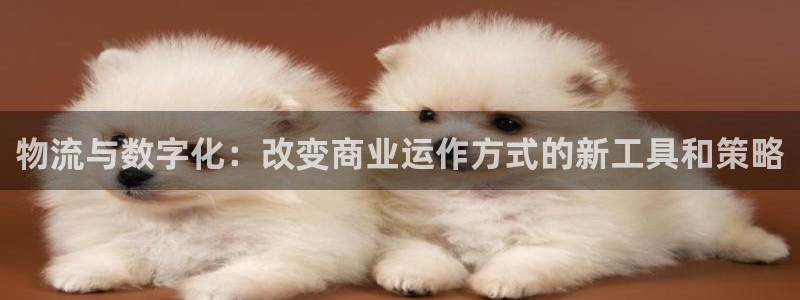 28圈怎么下载教程