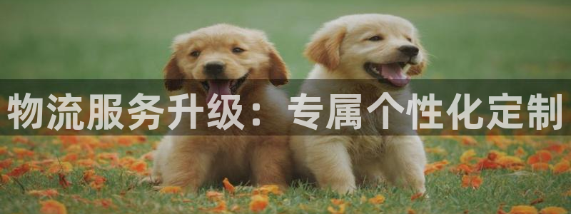 28圈麻将胡了在线试玩