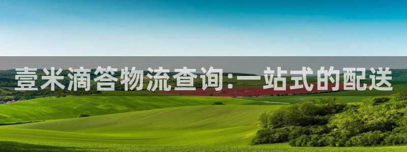 28圈加拿大官网