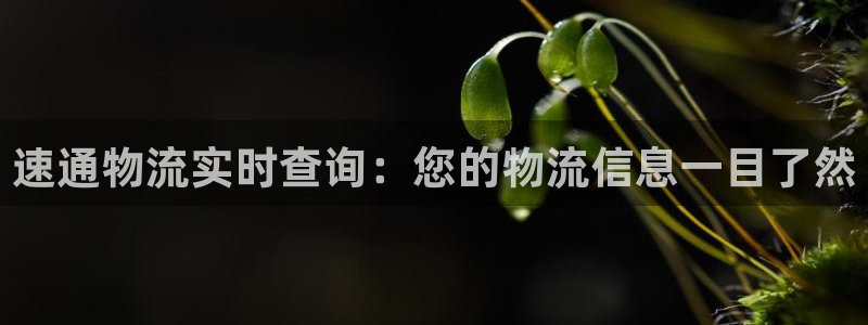 28圈充值不处理会怎么样