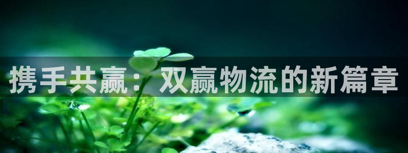 28圈返水怎么算的:携手共赢:双赢物