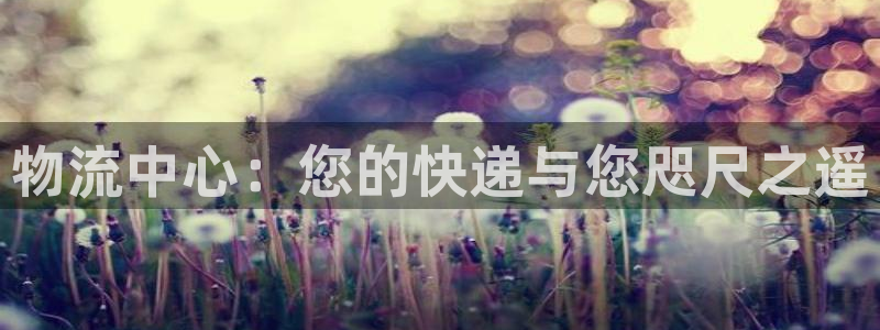 28圈昵称:物流中心:您的快递与您咫