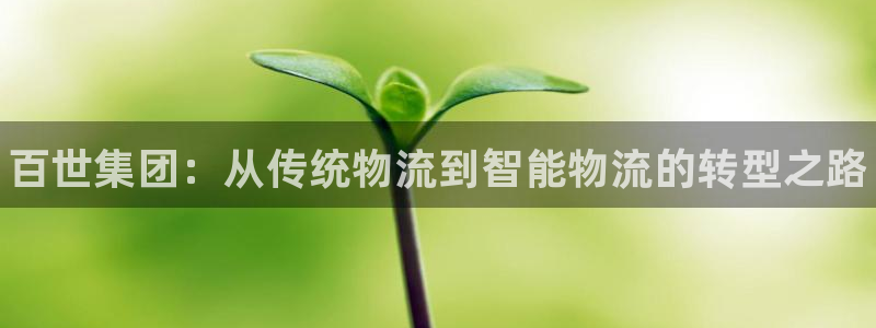 28圈加拿大走势:百世集团:从传统物