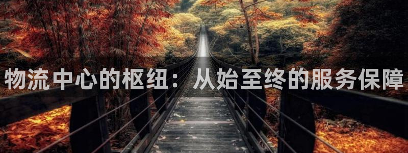 28圈为什么打不开:物流中心的枢纽: