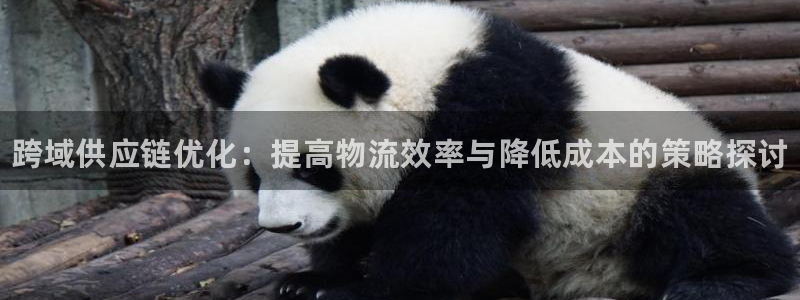 28圈预测加拿大师准:跨域供应链优化