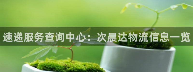 28圈的平台:速递服务查询中心:次晨
