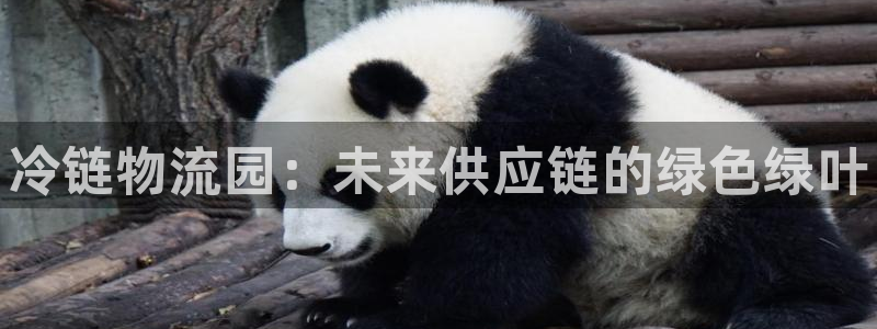 28圈pg麻将胡了:冷链物流园:未来