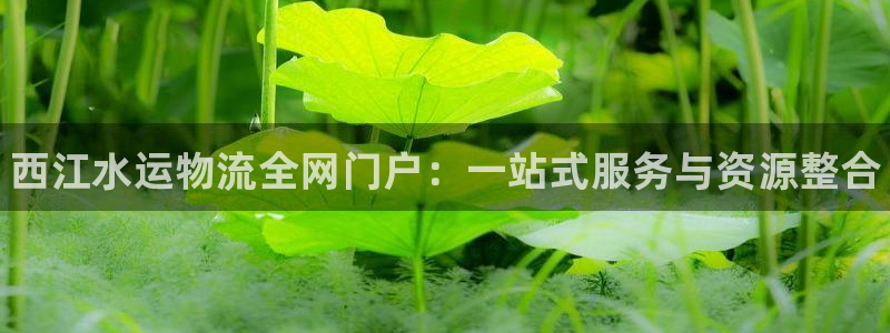 28圈提现未达5期是什么意思：西江水运物流全网门户：一站式服