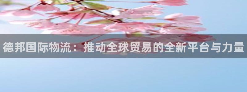 28圈注册官网:德邦国际物流:推动全