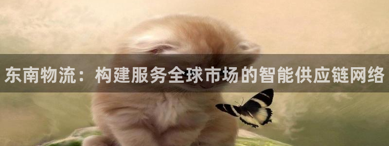 28圈app注册地址:东南物流:构建