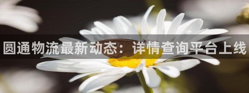 28圈.ccmpc29官网版下载