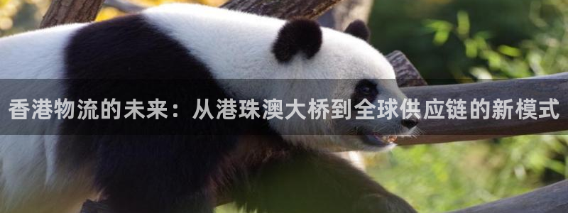 28圈怎么注册：香港物流的未来：从港