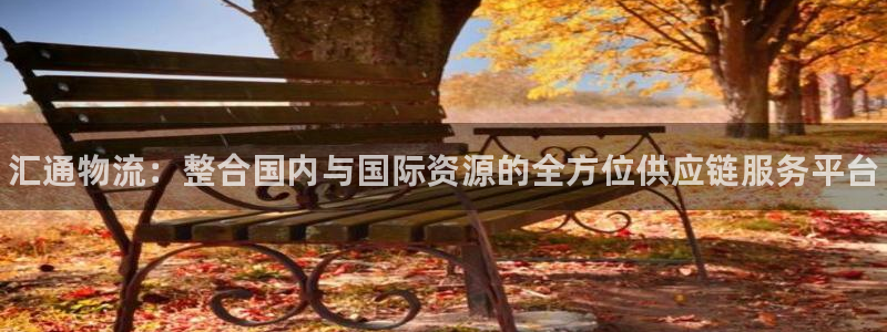 28圈提款一直没到：汇通物流：整合国