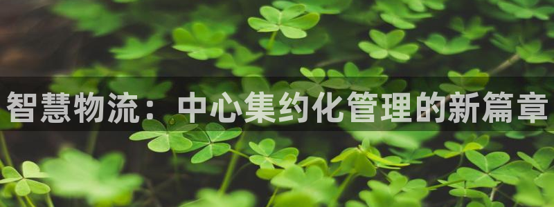28圈游戏：智慧物流：中心集约化管理