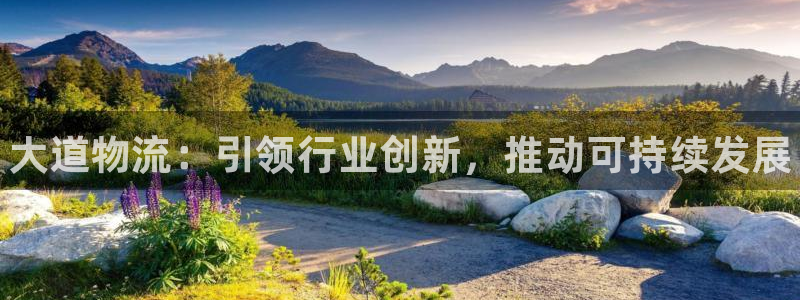 28圈客服一直不回消息怎么办：大道物