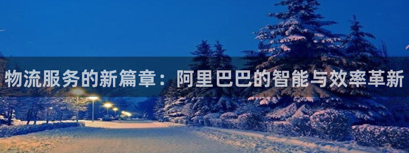 28圈app怎么注册账号：物流服务的