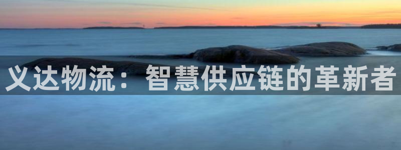 28圈ip被限制怎么解决：义达物流：