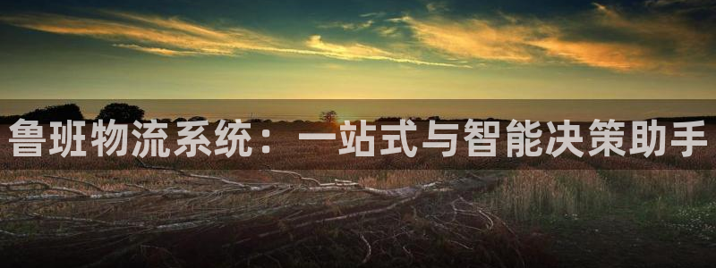 28圈充值不处理：鲁班物流系统：一站