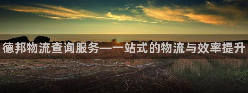 28圈加拿大开奖：德邦物流查询服务—