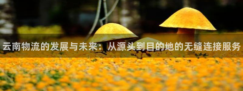 28圈app怎么注册账号：云南物流的