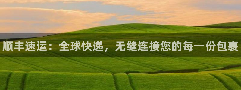 28圈注册登录链接流程：顺丰速运：全