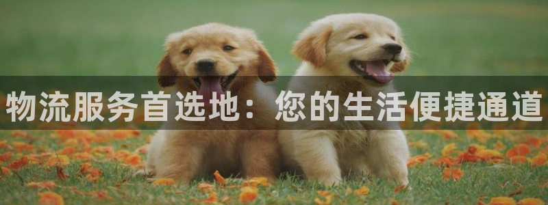 28圈昵称：物流服务首选地：您的生活便捷通道