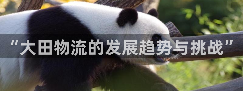 28圈哪个最赚钱：“大田物流的发展趋