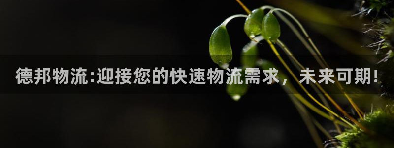 28圈百度百科：德邦物流:迎接您的快