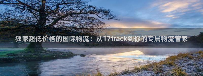 28圈在线预测：独家超低价格的国际物流：从17track到你